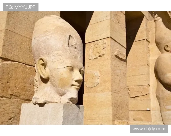 维罗纳足球俱乐部历史沿革与成就解析：从起步到辉煌的逐步蜕变